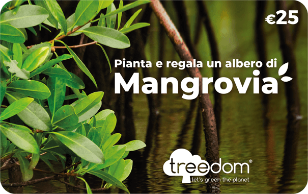 Gift Card Treedom Albero di Mangrovia €25