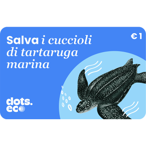 Gift Card Dots.eco Salva i cuccioli di tartaruga marina